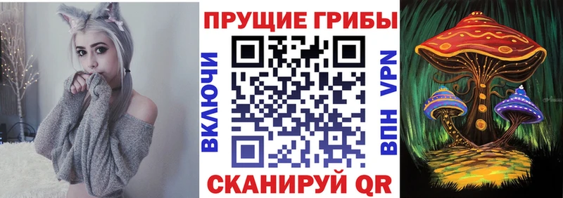 KRAKEN зеркало  Бабушкин  Галлюциногенные грибы прущие грибы  закладка 