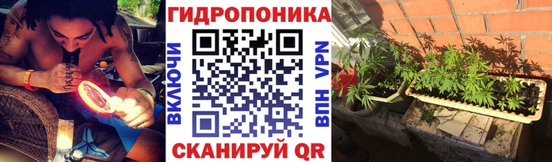 продажа наркотиков  ОМГ ОМГ ссылки  Шишки марихуана семена  Бабушкин 